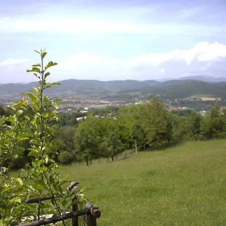 Oaza Mira 펜션 비소코